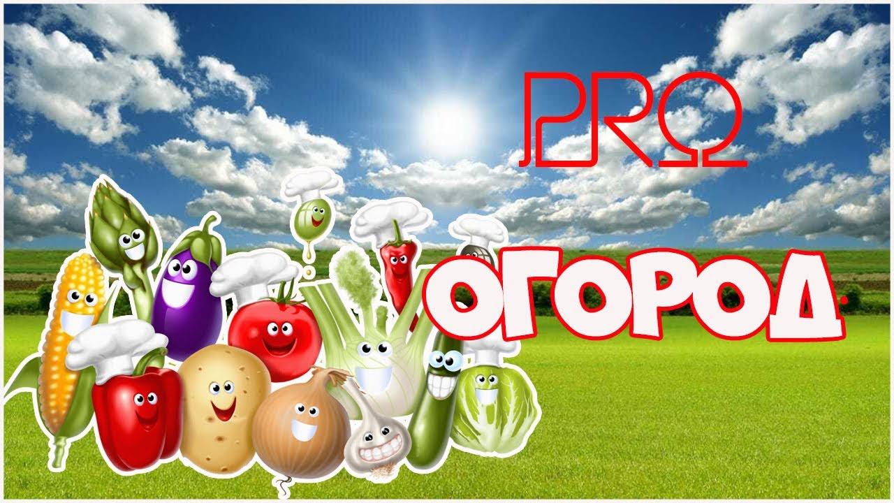 Провальный ОГОРОД! Жизнь в деревне.