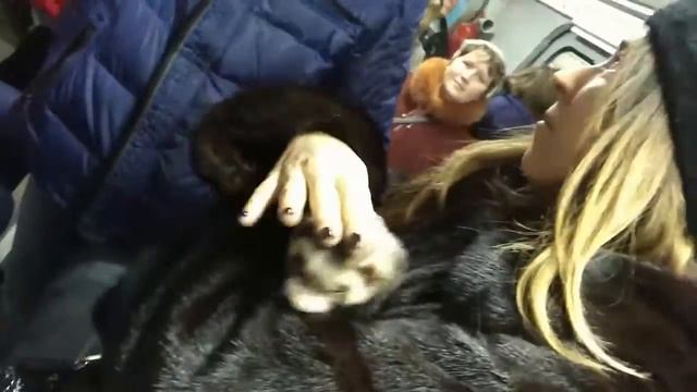 Фретка в метро под Нана и без(2)