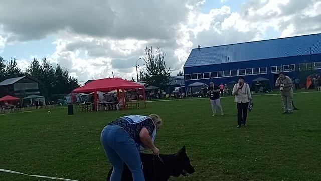 video_2024-08-13_06-46-06