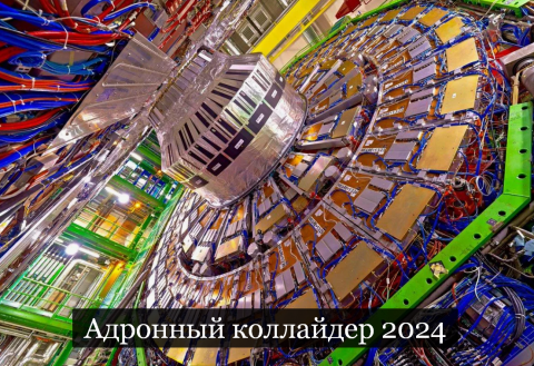 #Аврора #гадание Адронный коллайдер 2024