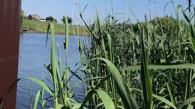 Первореченское райский уголок в близи Краснодара