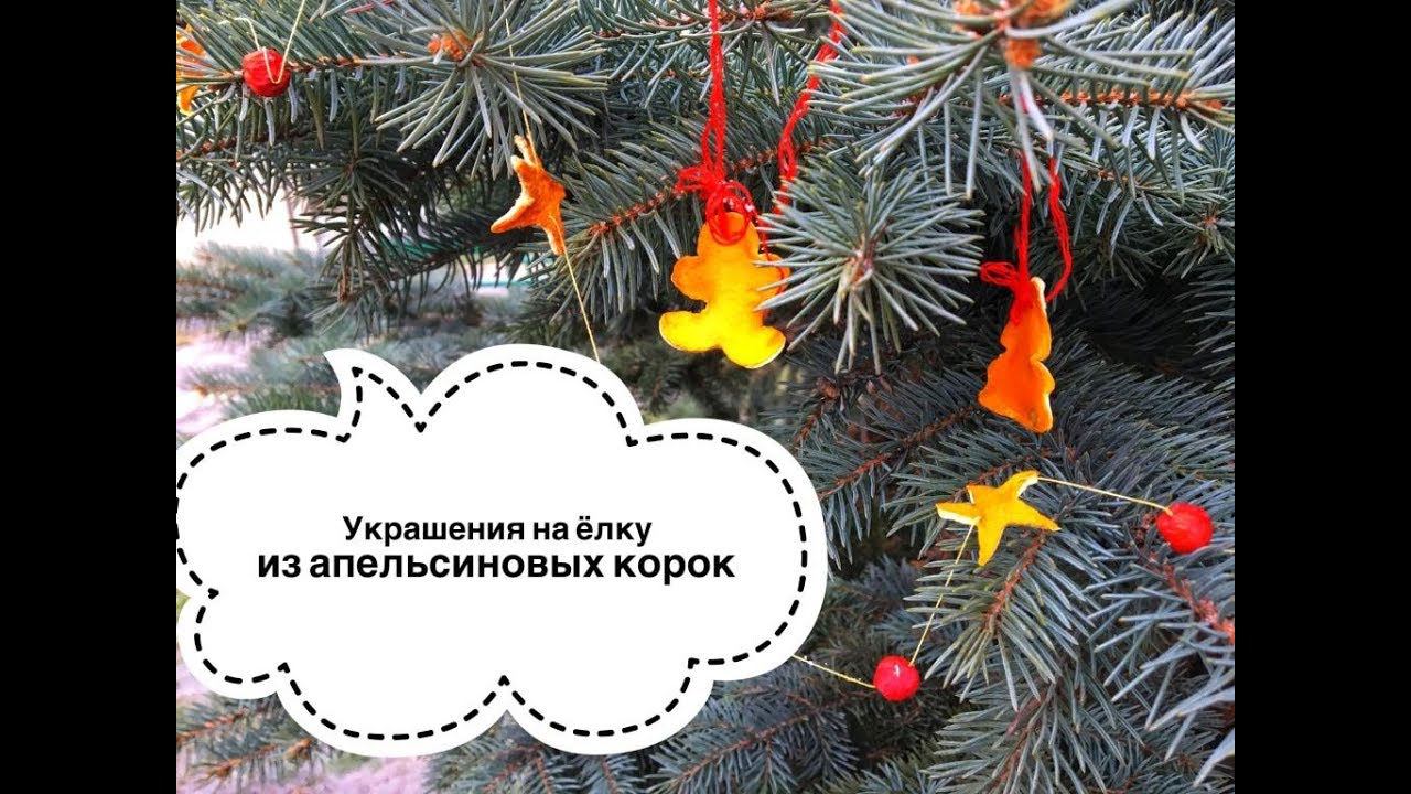 DIY Украшения на елку из апельсиновых корок  Christmas tree ornaments from orange peels