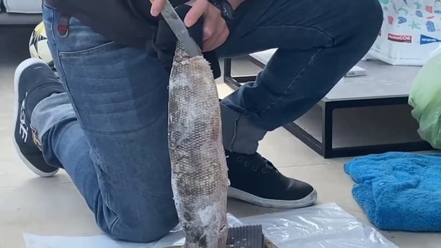 #familiaenlacocina #вкусныерецепты Все о строганине.Frozen fish