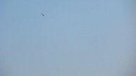 Kamenka, flying RC helicopters T Rex500 T Rex550 p56
