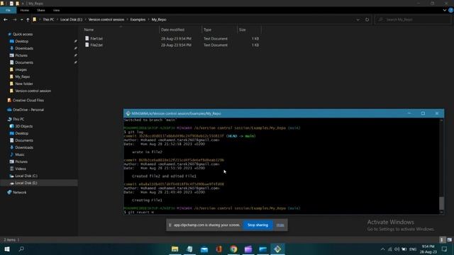 Version control (Git/GitHub)