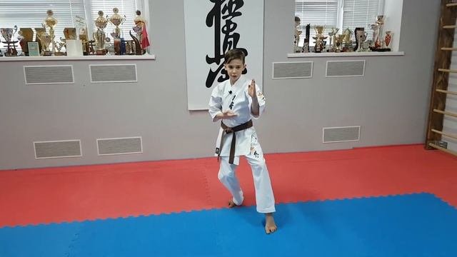 Базовые блоки в киокушин карате. Часть 5. Kyokushin karate basic blocks Part 5.