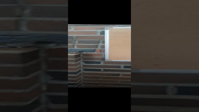 1000192192.mp4