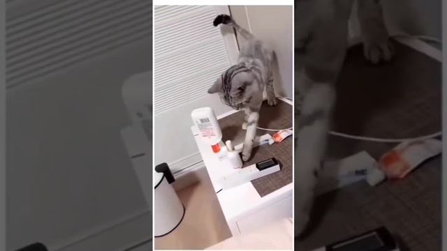 порядок должен быть везде
