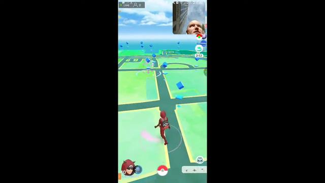 POKEMON Go Sunday raids