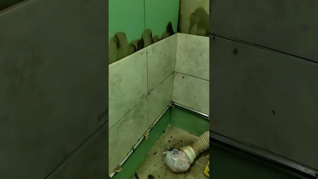 установка плитки в туалете решил попробовать со второго ряда