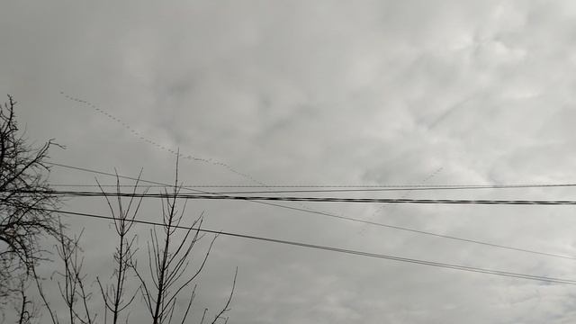 1000301432.mp4
