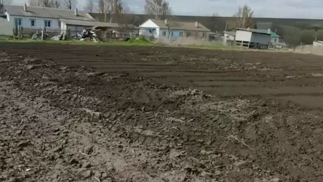 Продолжаем готовить землю к посадке овощей