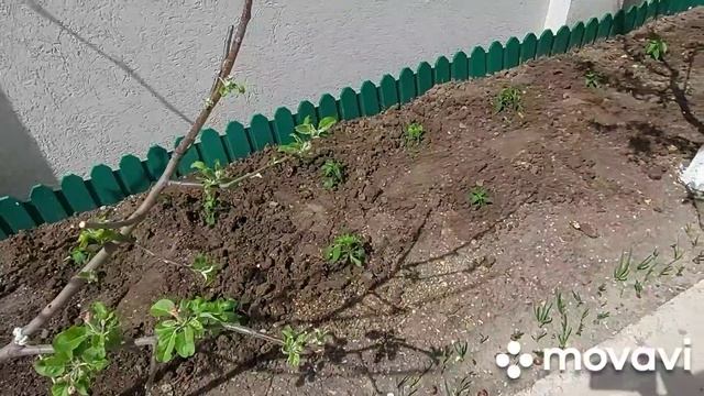 Шикарное МОРЕ в Витязево. Время отдыхать.