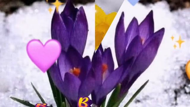 С добрым утром, с новым днем, весна, апрель, настроение прекрасное, открытка#23#друзьям#пожелание#2