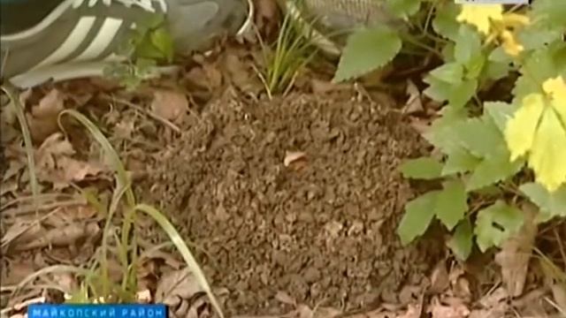 В Майкопском районе работает первая летняя биологическая школа