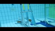 обзор водных тренажеров CARDI'EAU