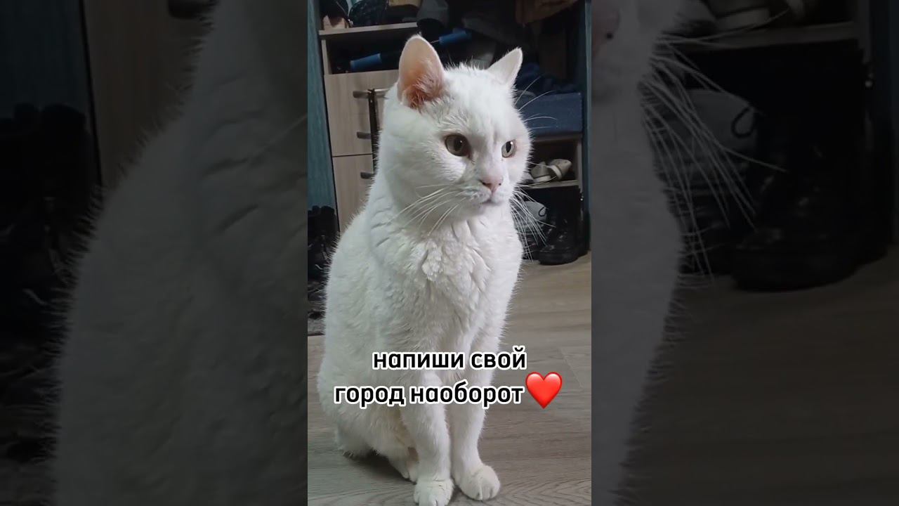 шрифт как у локи мура?)