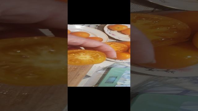 Обзор сортов желтоплодных томатов.
Радуга Хейли, Мандаринка, Елисей, Хурма
