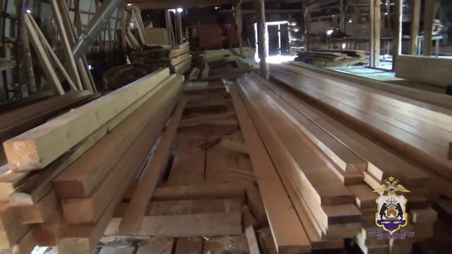 Новгородская полиция уличила лесозаготовителя в незаконной вырубке свыше 300 кубометров древесины