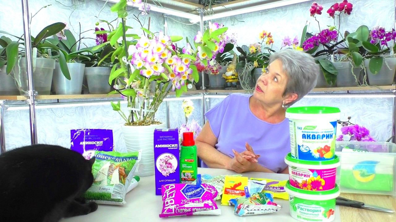 Тайны удобрения для орхидей: раскрыто все! Удобрение Аминосил, и не только...