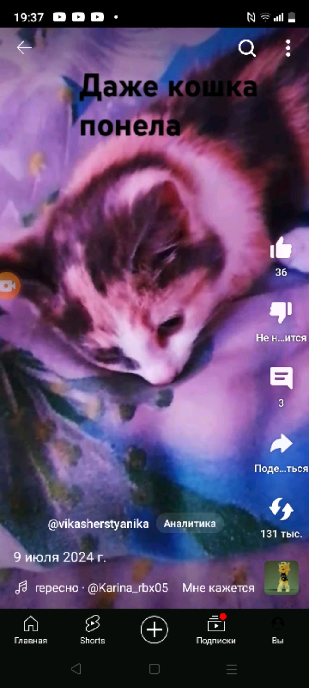 котик мур-мял