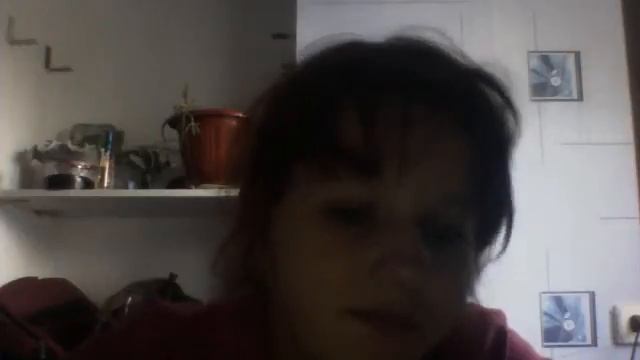 Видео с веб-камеры. Дата: 3 августа 2013 г., 19:15.
