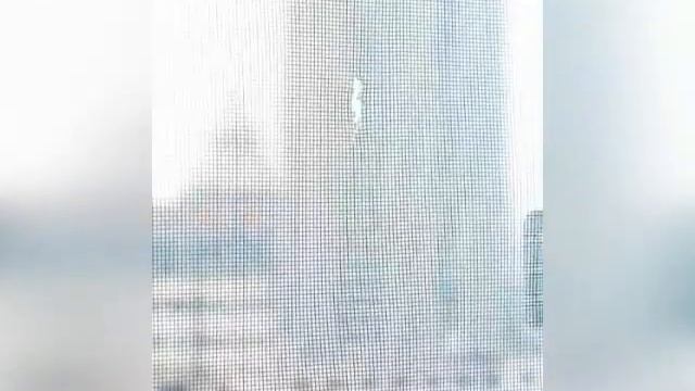 Заплатка тройная для ремонта москитной сетки