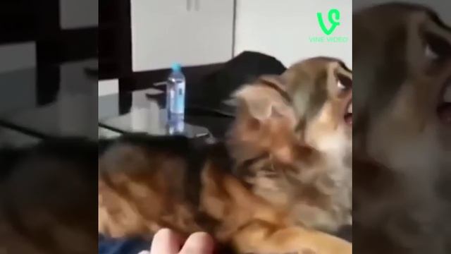 Как не большой монтаж может изменить видео.
