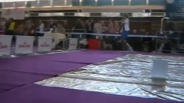 Монопородка. Левретки Part1