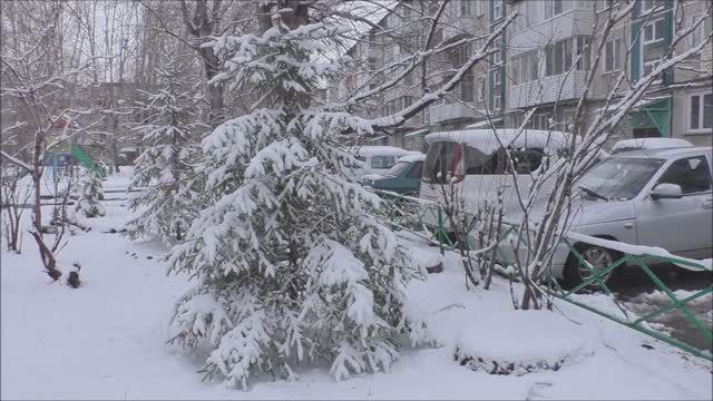 Зима вернулась. г.Ачинск. 20.04.24г. Автор видео Елена Цыганова.