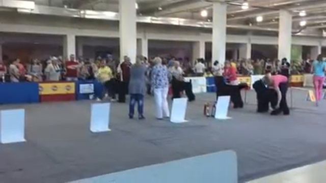 Моно в Челябинске,Лучший кобель - МАЛАХОВСКИЙ ОПТИМИСТ