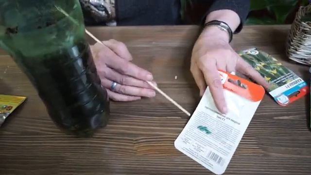Супер Ранние Огурцы  Выращивание огурцов хитсад тв