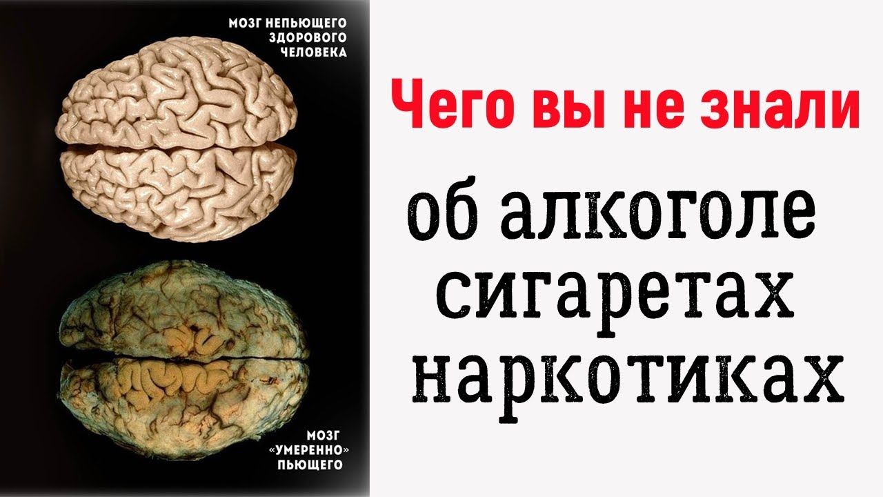 ЭТО ВИДЕО ПЕРЕВЕРНЕТ ВАШЕ ПРЕДСТАВЛЕНИЕ ОБ АЛКОГОЛЕ, СИГАРЕТАХ, НАРКОТИКАХ