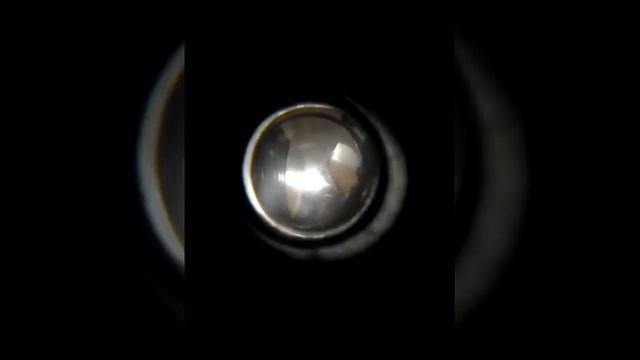 Мои друзья пришли ко мне в подъезд !снимал их в