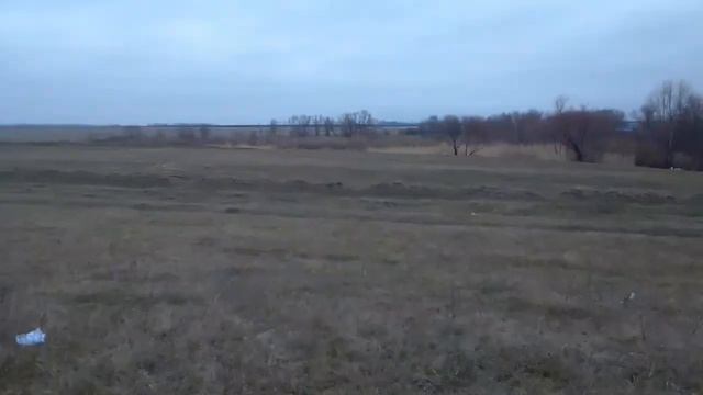 охота с пневматикой мр512,на утку