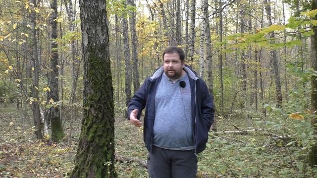 Почему я не починил унитаз за 8 лет