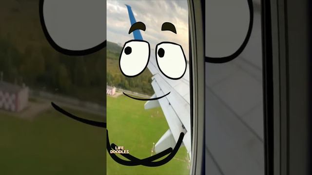 Самолет, банан 😂