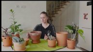 №39. Терракотовые горшки для цветов. Обзор, плюсы и минусы.
