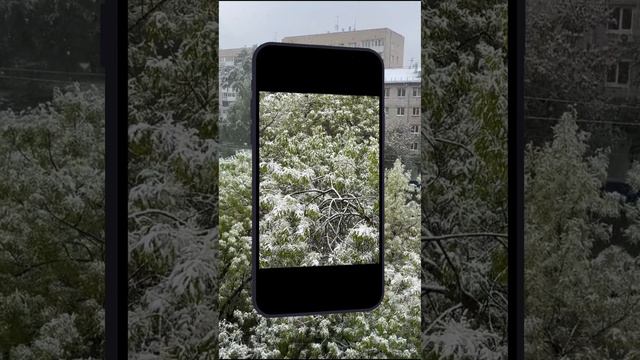Снегопад 9 Мая #iphone13promax