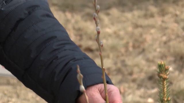 "В области сердца": История Тюменской области