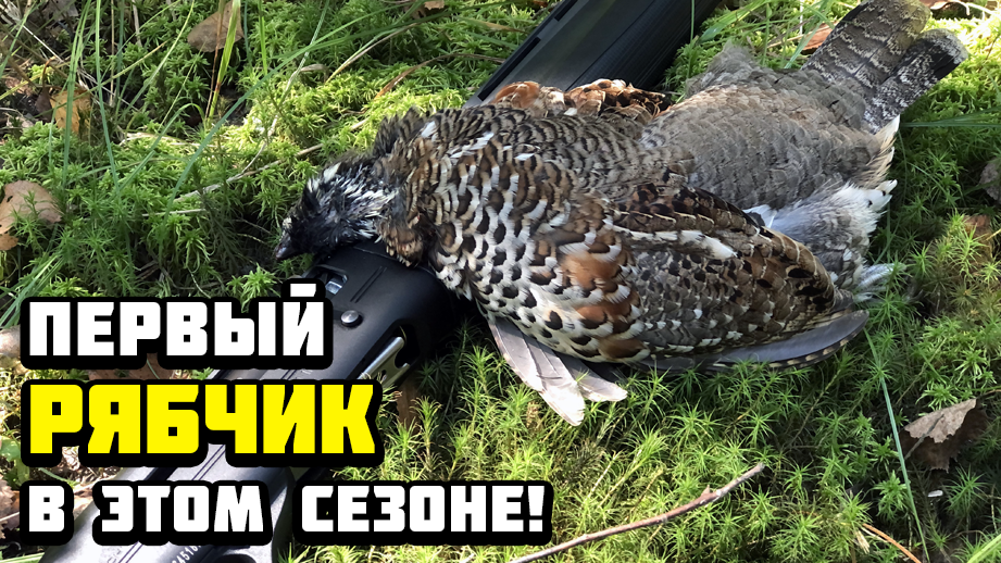 Охота на рябчика с манком