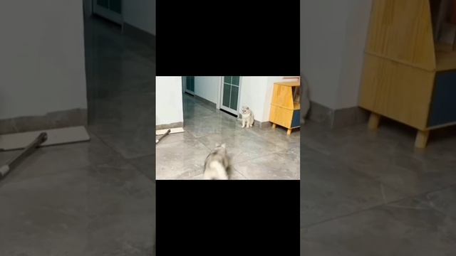 Как такое может быть? ??