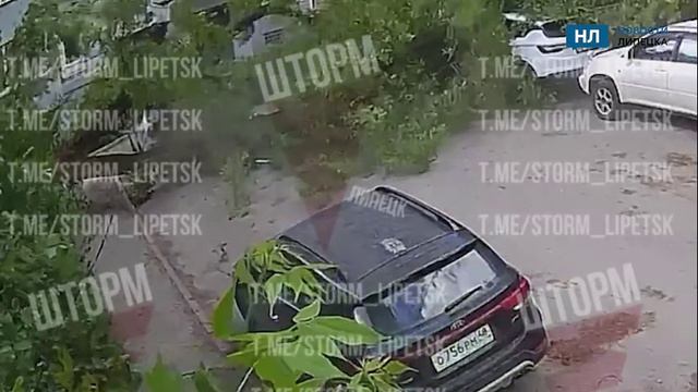 В Липецке показали видео падения огромного дерева на людей и автомобили