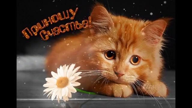 С  пятницей друзья!музыкальное поздравление