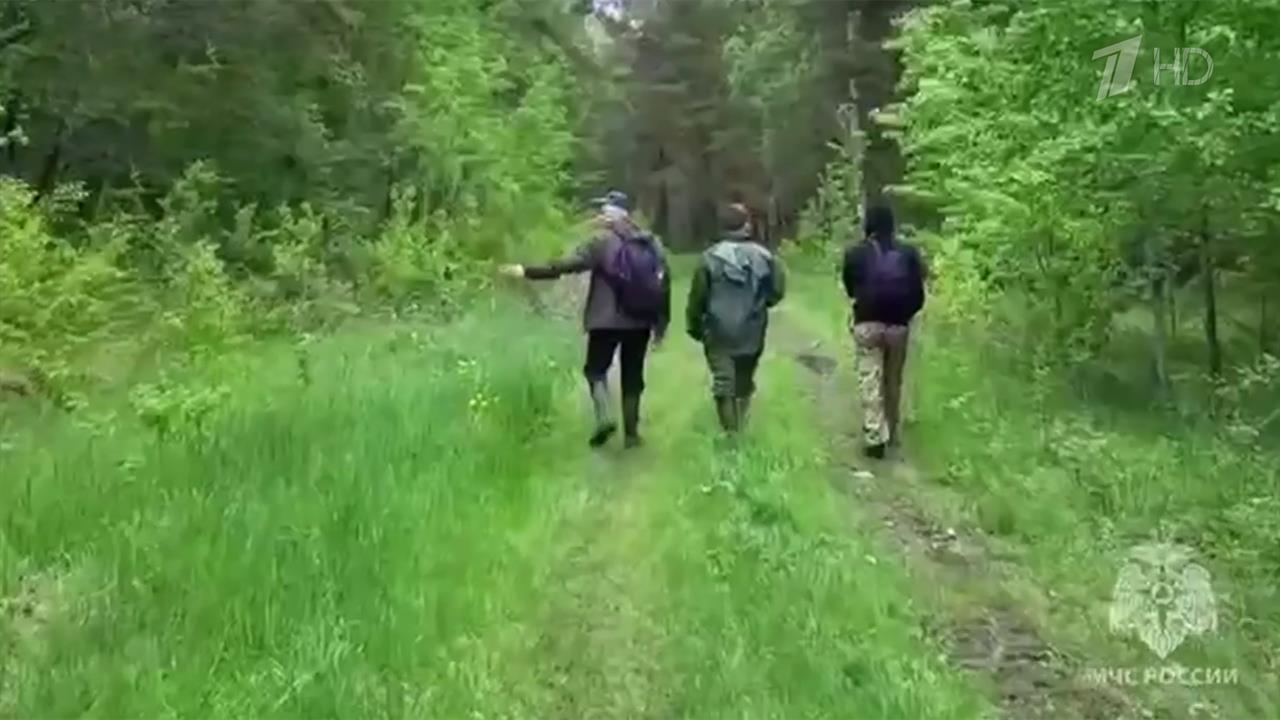 В Свердловской области волонтеры нашли детей, которые заблудились в лесу