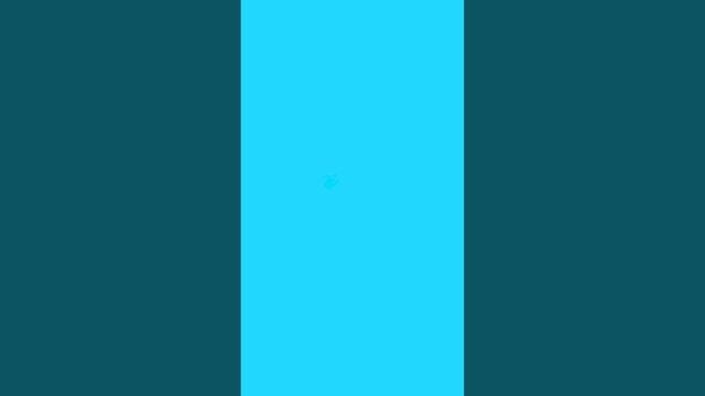 Need To Fit - ролик для WB