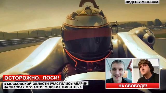 Александр Каминский на Lifenews: Осторожно, лоси!
