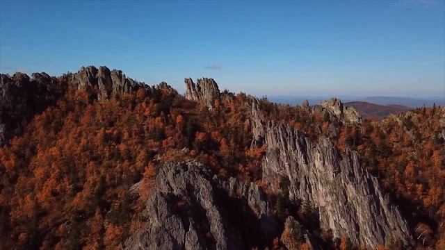 ЗОЛОТОЙ ПОЛОЗ легенда
