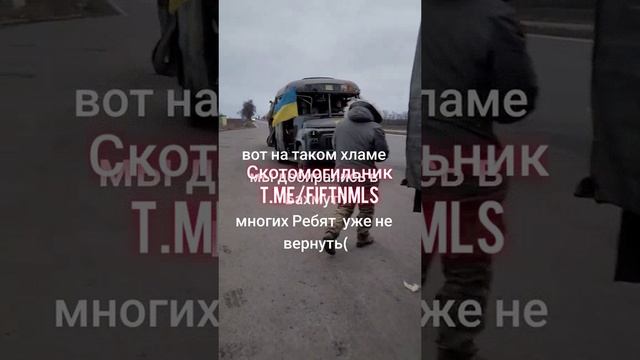 Примерно так везут чубатых на убой.