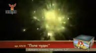 Поле Чудес (1,25"х100)1/1/1 А7618
